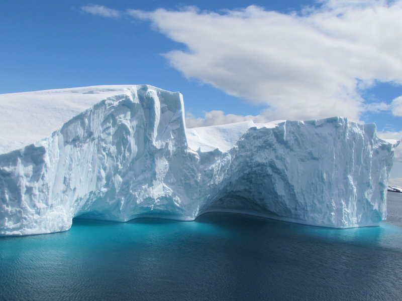 科學家最近在南極測到攝氏十七度以上的高溫