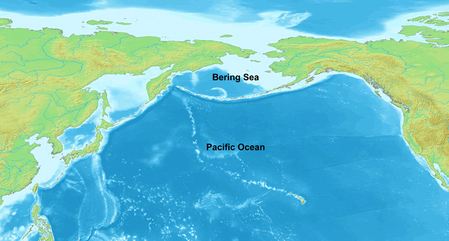 太平洋北部のベーリング海　（ウィキペディア）